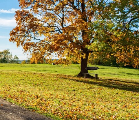 Huśtawka Ogrodowa Bocianie Gniazdo 100cm Czarna Wisząca XXL dla dzieci Huśtawka Ogrodowa Bocianie Gniazdo 100cm Czarna Wisząca XXL dla dzieci